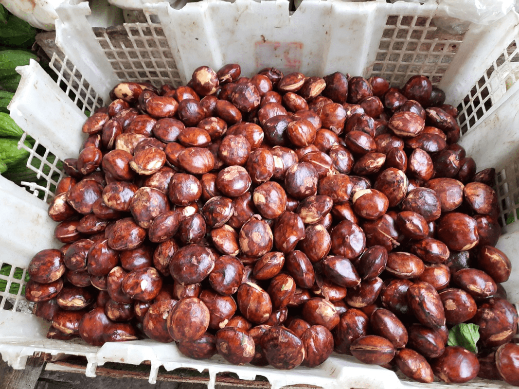 Jengkol (sumber: pixabay.com/AndryHariana)