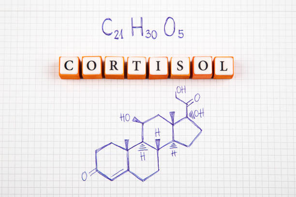 stress kortisol