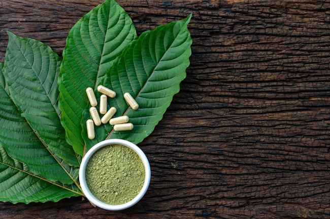 daun kratom