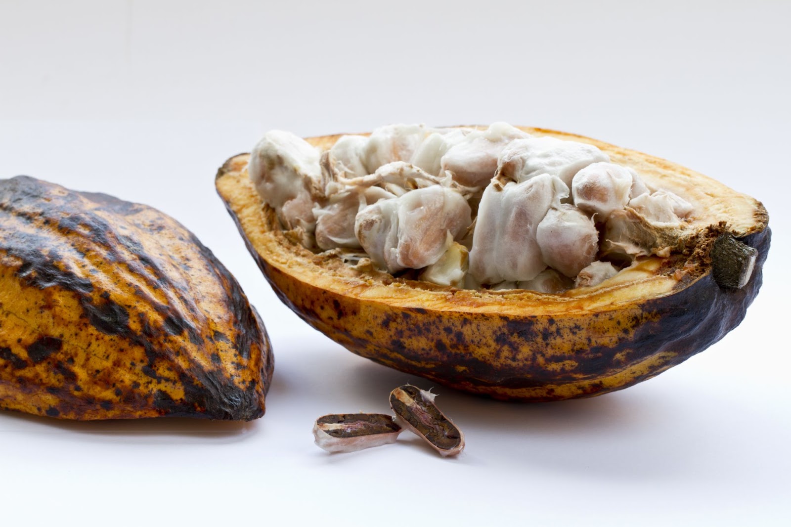 jenis-biji-kakao