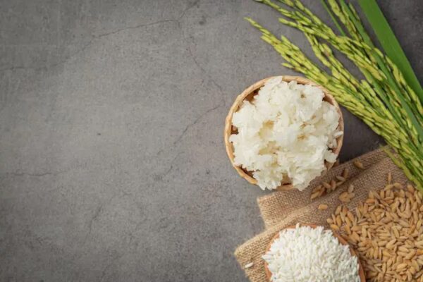 beras-porang-untuk-diet