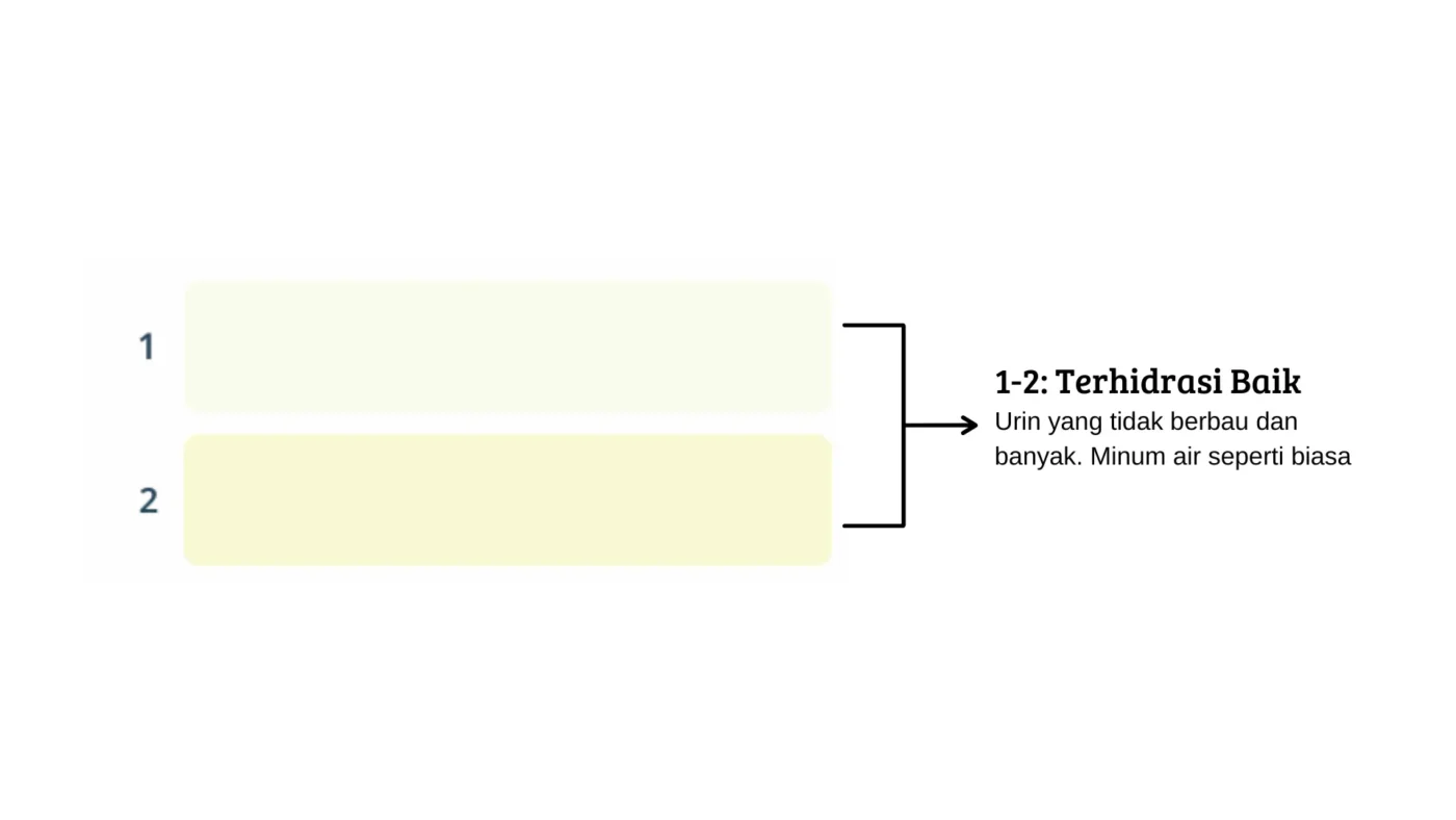 warna-urin-terhidrasi-baik