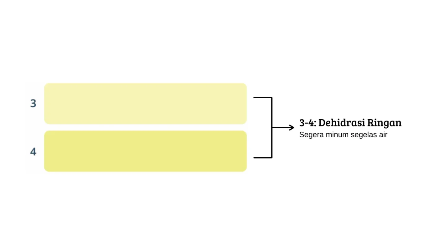 warna-urin-dehidrasi-ringan