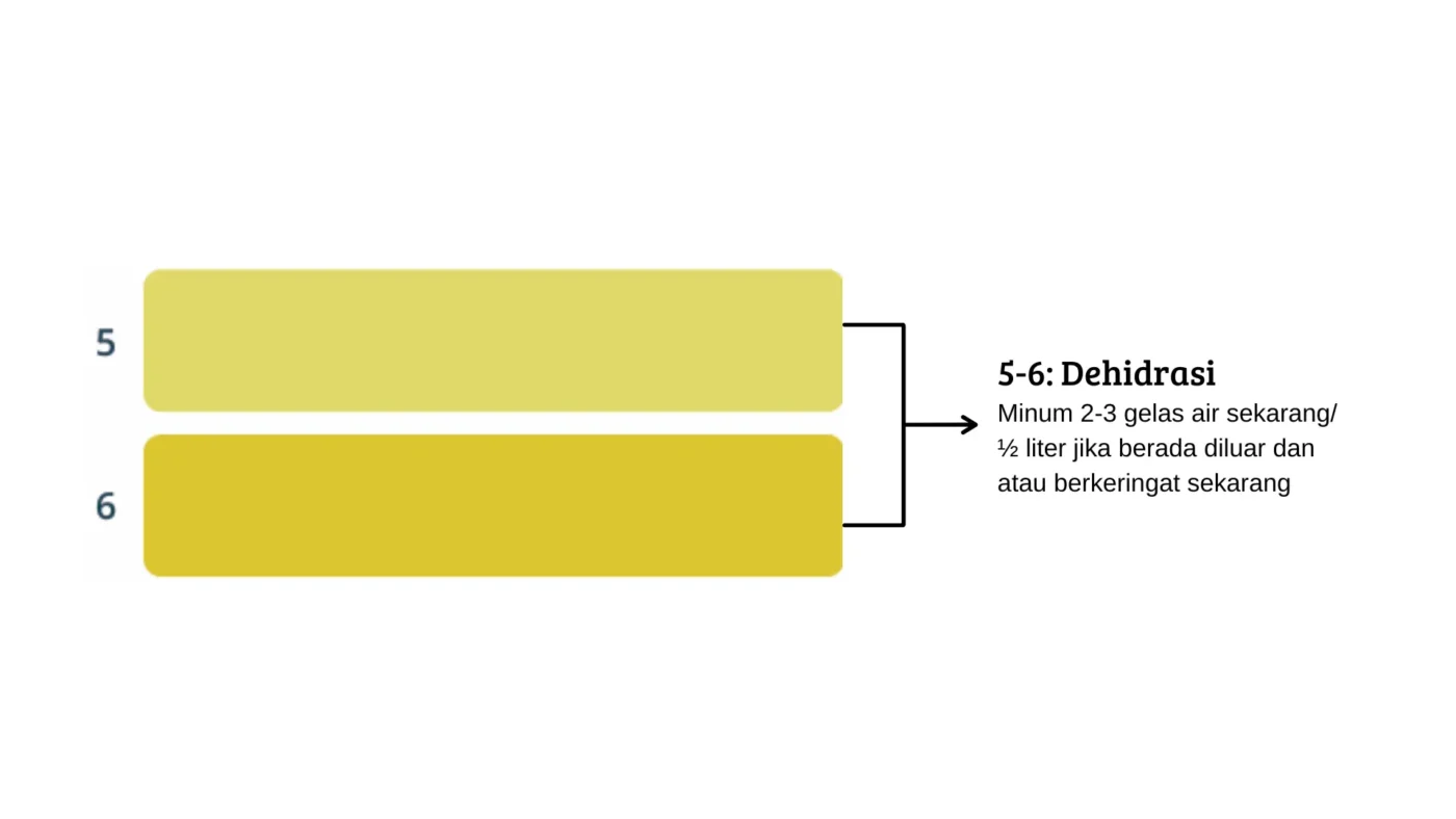 warna-urin-dehidrasi