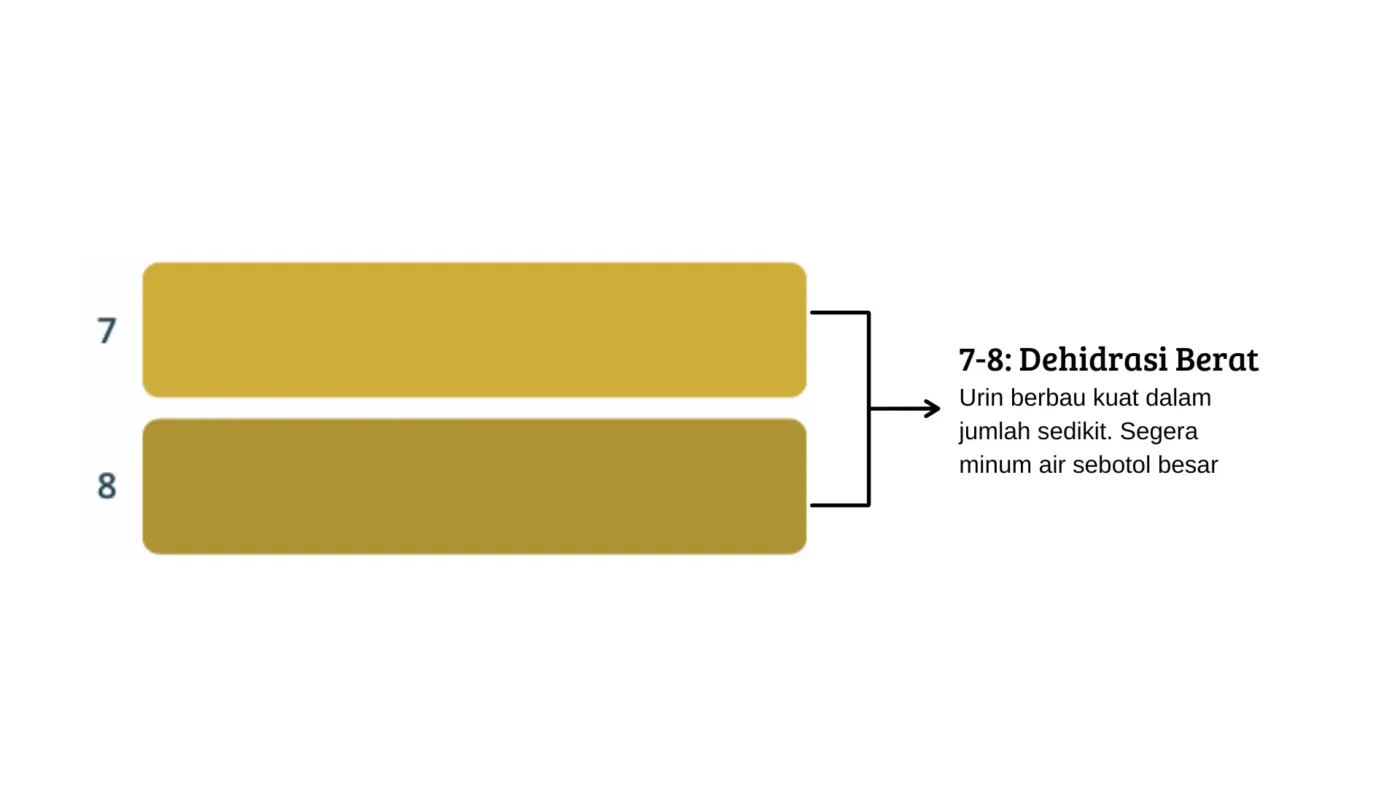 warna-urin-dehidrasi-berat