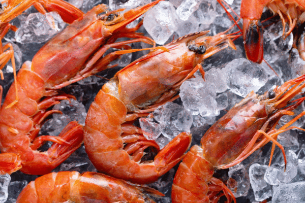udang-ekspor-indonesia-radioaktif