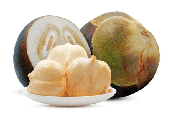 buah-lontar