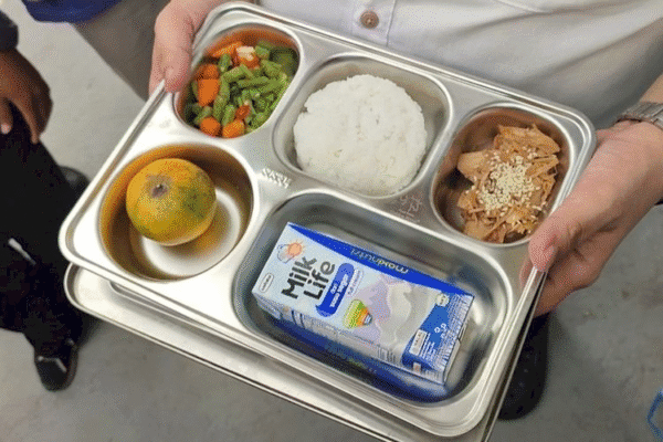 food-tray-mbg