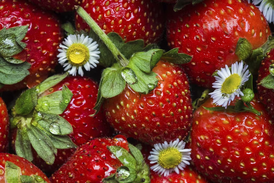 manfaat-stroberi-lansia