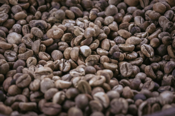 jenis-kopi-kotoran-hewan