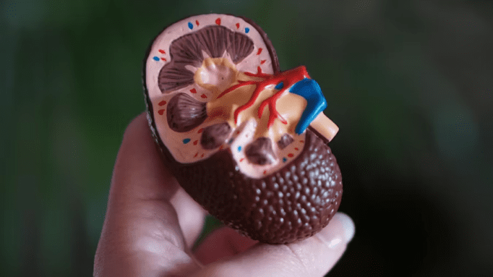 cegah-gagal-ginjal-dan-lindungi-lingkungan