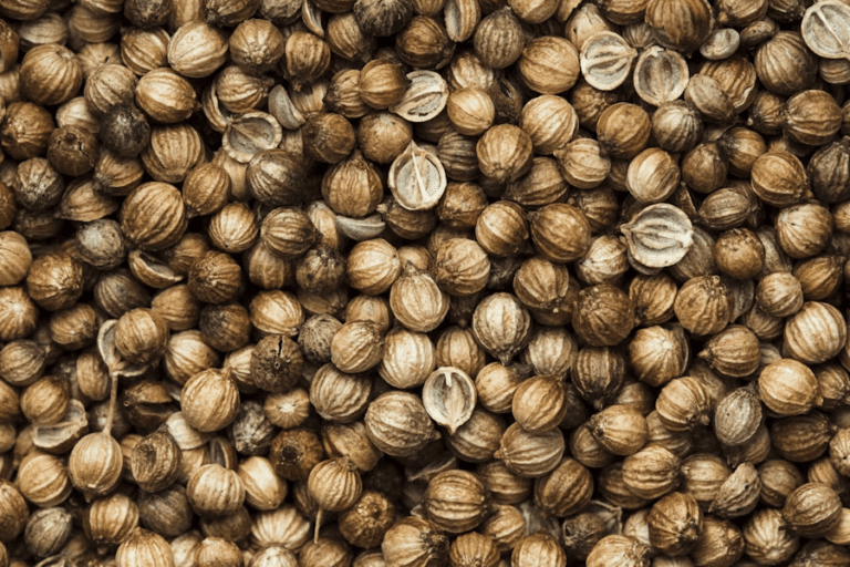 manfaat-air-rebusan-ketumbar