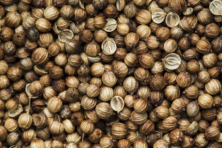 manfaat-air-rebusan-ketumbar